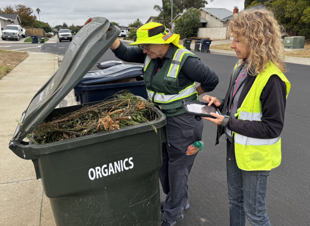 two women examining the contents of organics carts