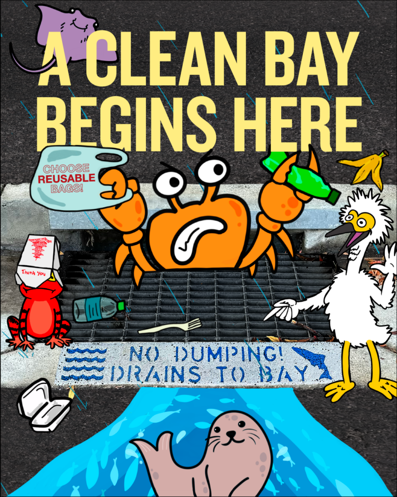 A clean bay begins here graphic with cartoon animals