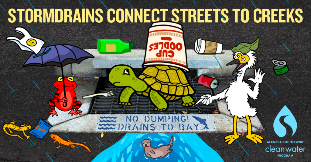 clean bay begins here with turtle and storm drain